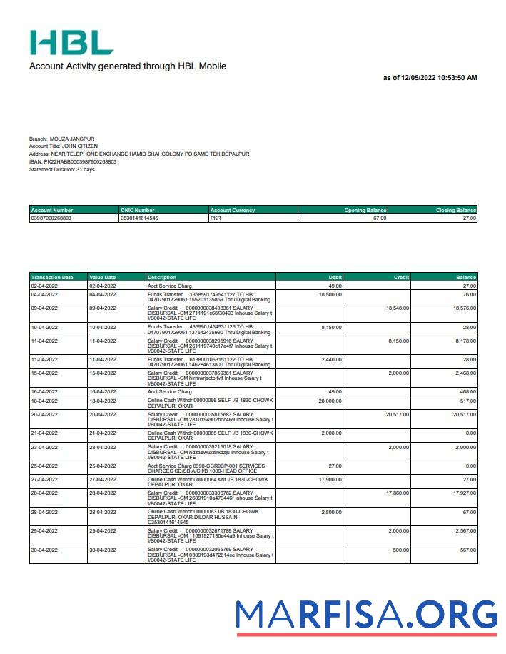 Downloadable Pakistan HBL bank statement word template